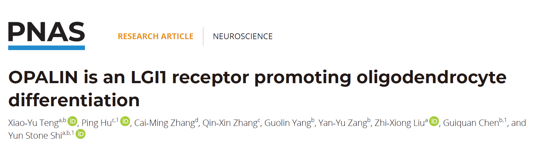 PNAS | 廣東省智能院石云團隊發現癲癇相關蛋白調控髓鞘發育的新機制